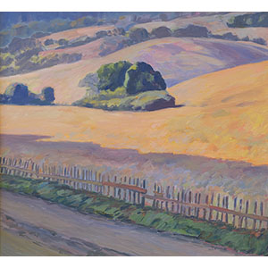 Thomas Wood, Fence Line, Nicasio, Morning, 24×26